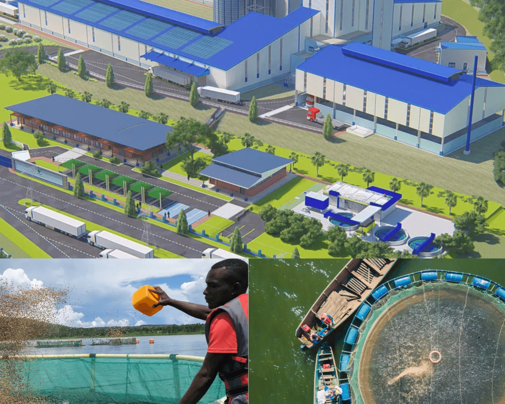 De Heus aquafeed plant under construction in Njeru, Uganda – boosting fish farming and food security