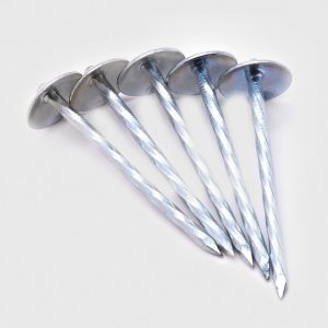 Roofing Nails (Per Kg)